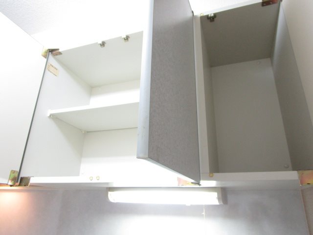 シーガル その他8