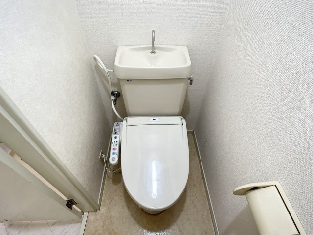 ドミール・レイ その他3