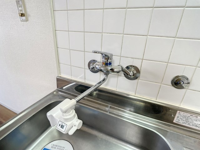 ドミール・レイ その他8