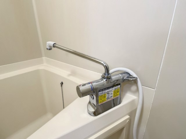 ドミール・レイ その他9