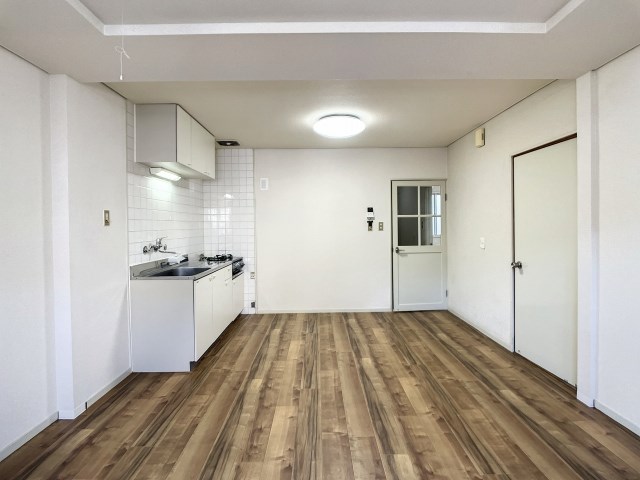 ドミール・レイ その他10