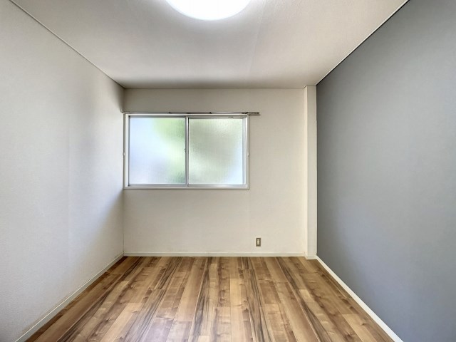 ドミール・レイ その他13