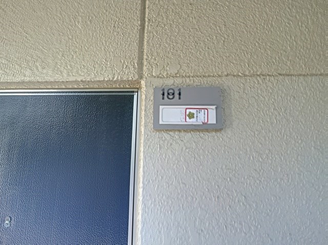 ドミール・レイ その他14