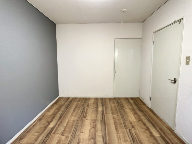 ドミール・レイ その他17