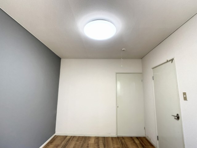 ドミール・レイ その他18