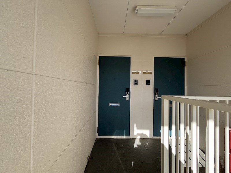 プロムナードⅢ その他16