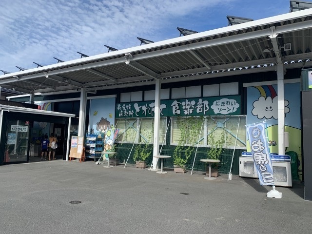 アルティア　雅 その他外観4