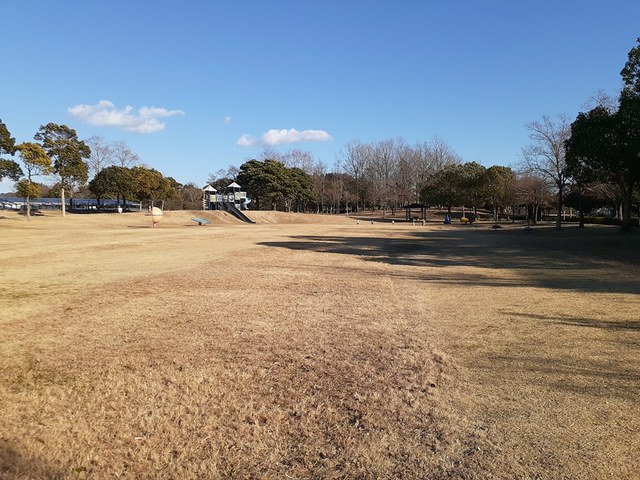 ティアレ その他外観6