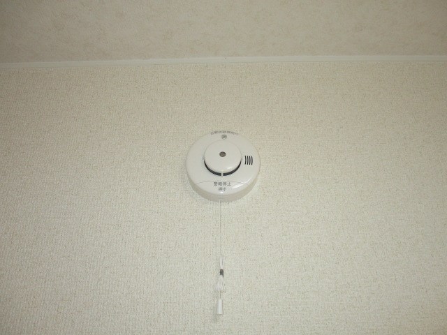 フラットサード その他23