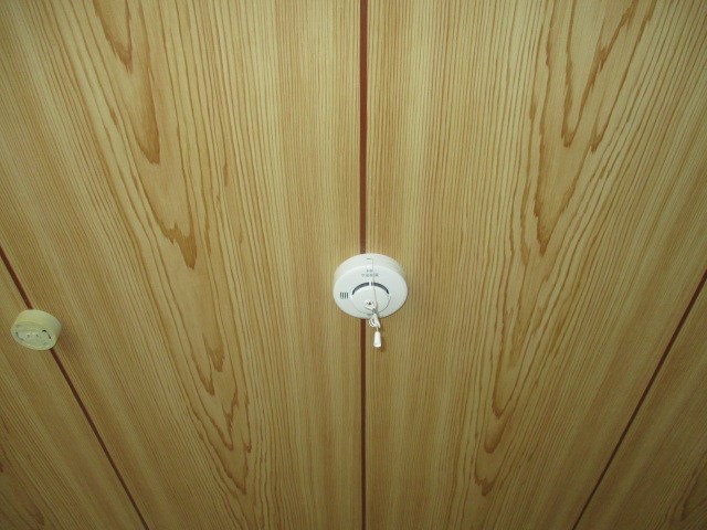 フラットサード その他29