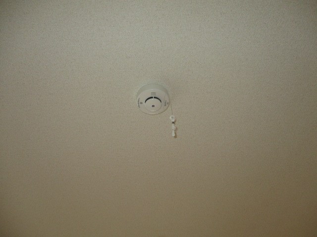 フラットサード その他32