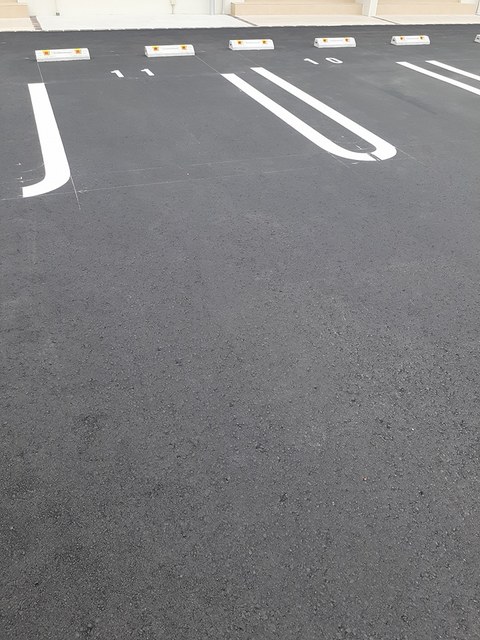 はるにとぶ（春飛） その他4