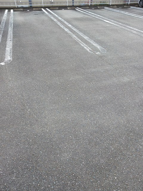 メゾン住吉 その他4