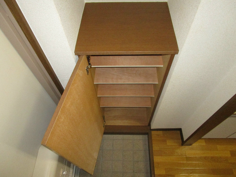 フットフォール その他11