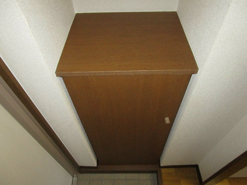 フットフォール その他12