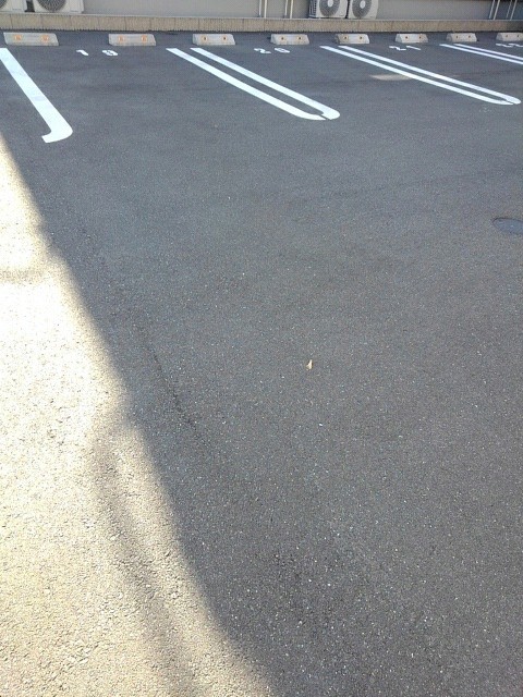 ひなた　Ａ その他4