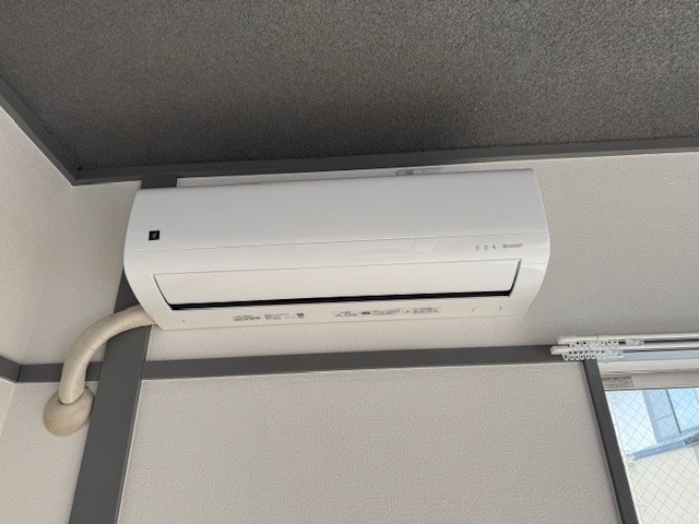 Sent　Francis（セントフランシス） その他1