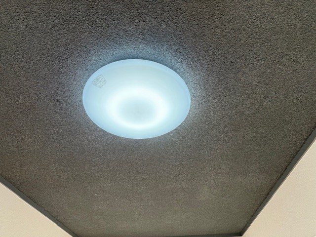 Sent　Francis（セントフランシス） その他38