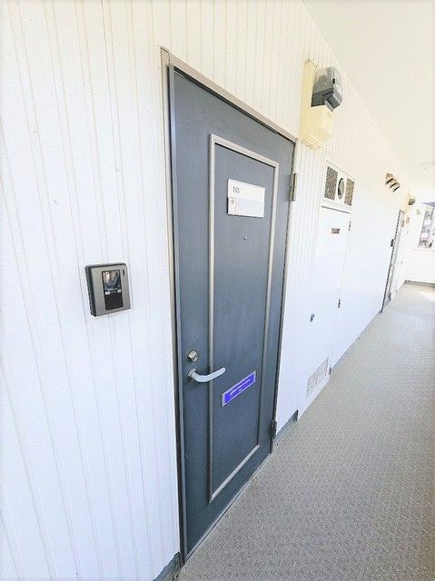 Ｙ&amp;rsquo;ｚハタゴ その他7