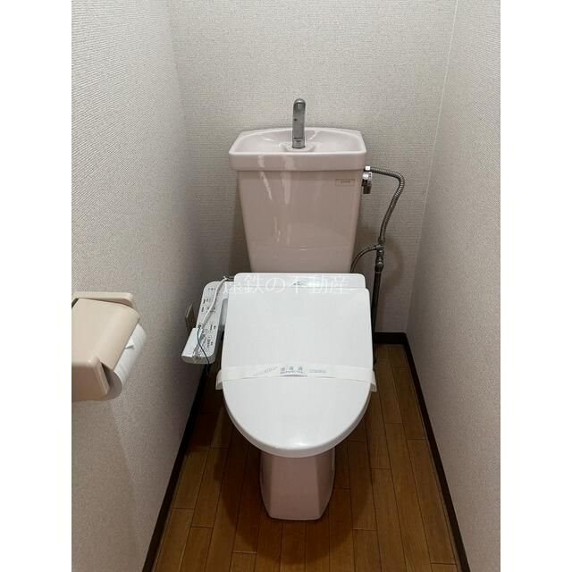 ピュア葵 その他1