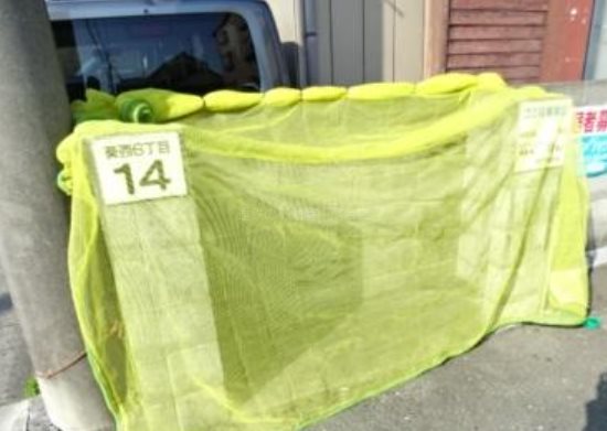 ピュア葵 その他外観4