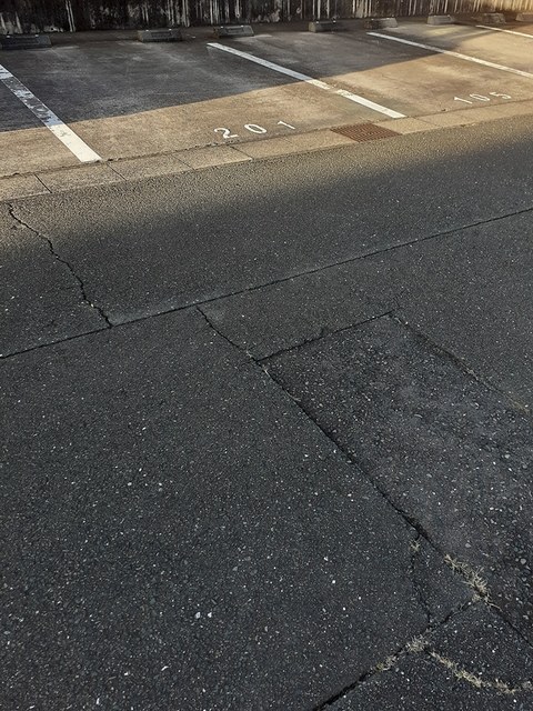 ニューシティミズホリ その他5