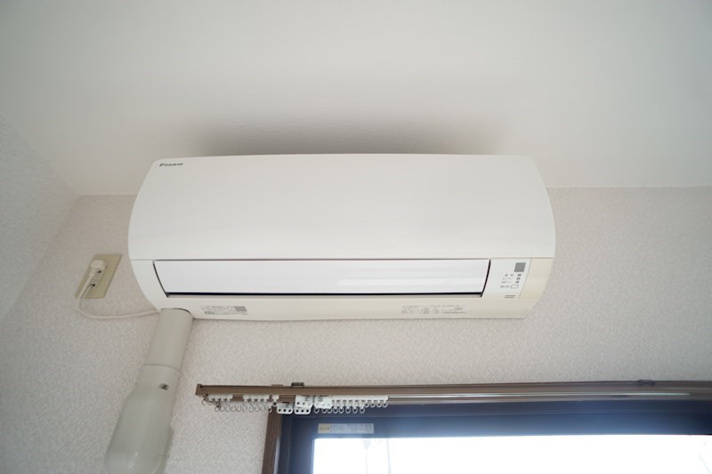 ヴィーガ その他4