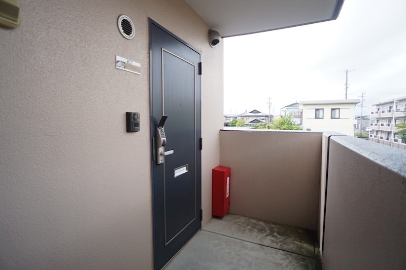 ヴィーガ その他8