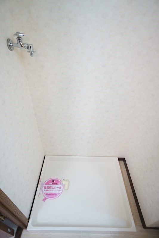 ヴィーガ その他11