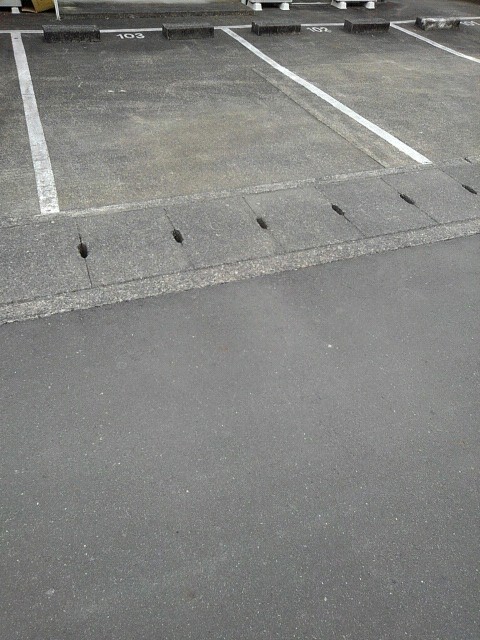 スタシスＢ その他4