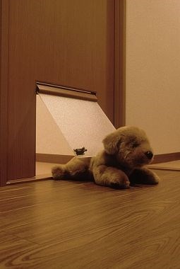 フォーリーフ その他8