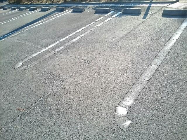 ニューリーフ　Ａ その他4