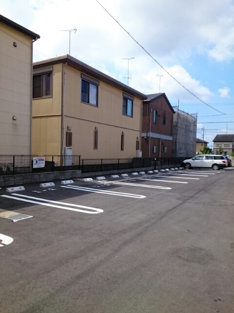 プリムローズ その他5