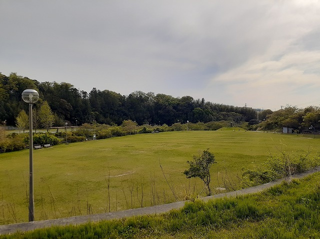 プリムローズ その他外観5