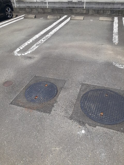 コットンフィールド　Ｄ その他4