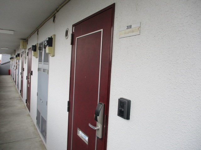 キャッスルバンブーⅡ その他16