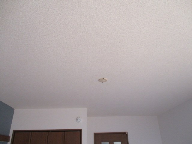 ベル・ブライト その他31