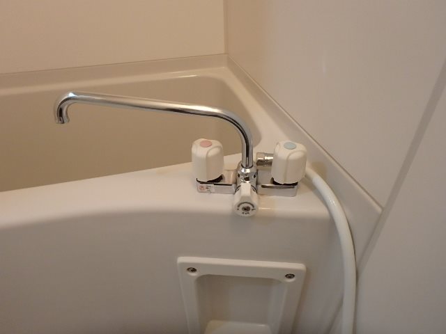 Mansion JULIAⅡ（マンションジュリアツー） その他9