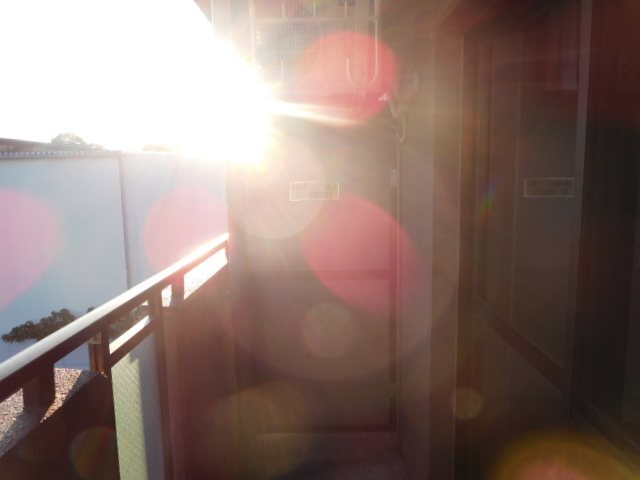 カウベルⅢ その他42