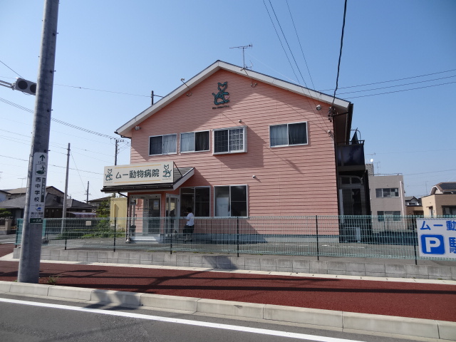 山本ハイツ 周辺画像3