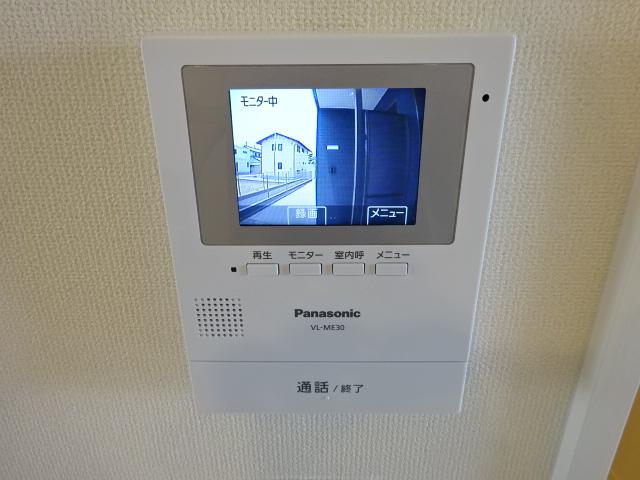 シーダー初生 その他3