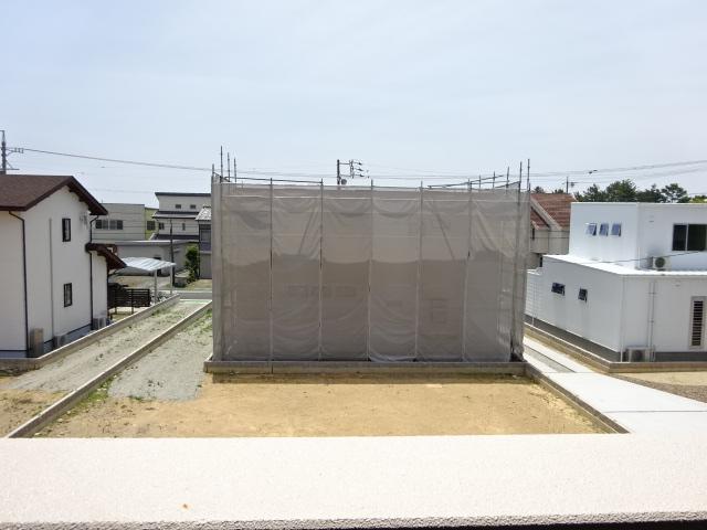 シーダー初生 その他4