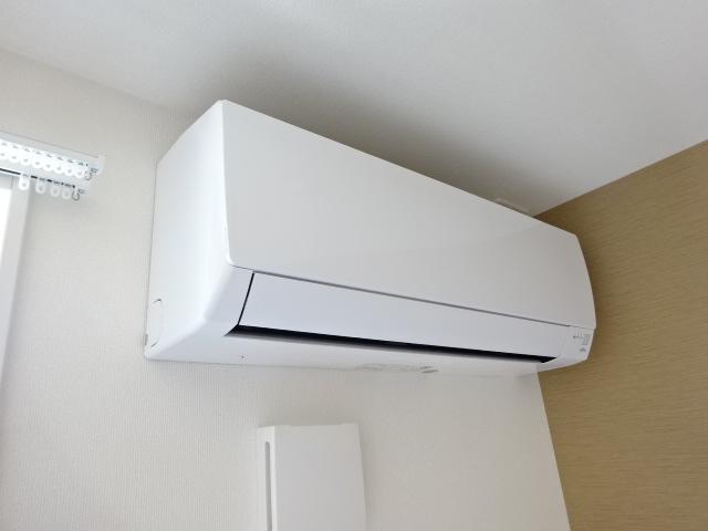 シーダー初生 その他6