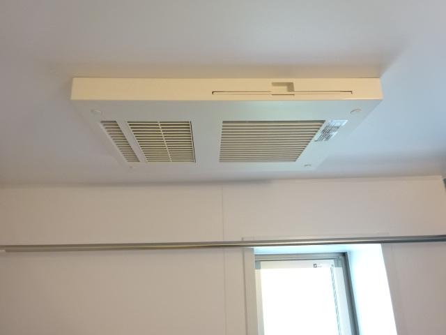 シーダー初生 その他11