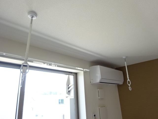 シーダー初生 その他12