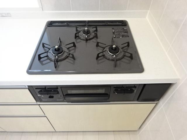 シーダー初生 その他16