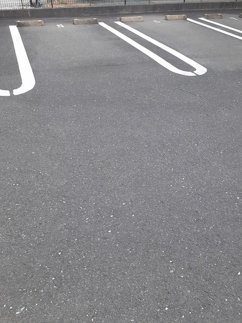 しなの　Ｆ その他4