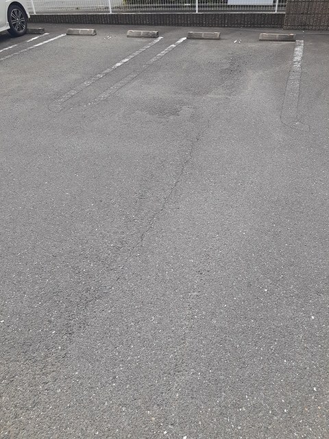 さつき その他4