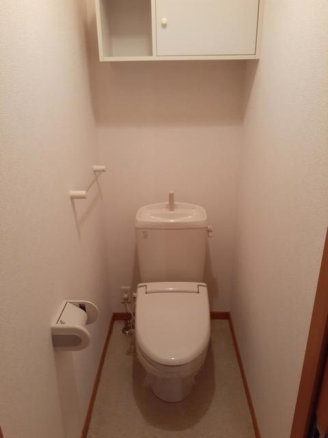 ＳＧアネックスⅡ その他1