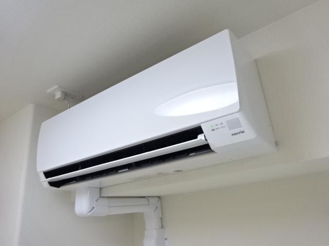 サンティエ・フチュール(Scintiller・Futur) その他5